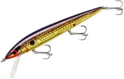 Smithwick Elite 8 Rogue 4 1/2 Inch Suspending Jerkbait -Danshui Fishing Shop ADR4213