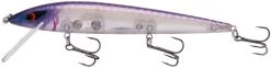 Smithwick Elite 8 Rogue 4 1/2 Inch Suspending Jerkbait -Danshui Fishing Shop ADR4279