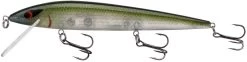 Smithwick Elite 8 Rogue 4 1/2 Inch Suspending Jerkbait -Danshui Fishing Shop ADR4281