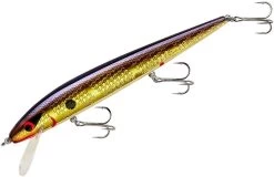Smithwick Perfect 10 Rogue 5 1/2 Inch Deep Diving Suspending Jerkbait 39 Smithwick Perfect 10 Rogue 5 1/2 Inch Deep Diving Suspending Jerkbait -Danshui Fishing Shop ADR5213