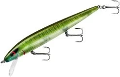 Smithwick Perfect 10 Rogue 5 1/2 Inch Deep Diving Suspending Jerkbait 26 Smithwick Perfect 10 Rogue 5 1/2 Inch Deep Diving Suspending Jerkbait -Danshui Fishing Shop ADR5281