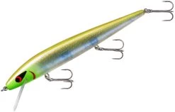 Smithwick Perfect 10 Rogue 5 1/2 Inch Deep Diving Suspending Jerkbait 30 Smithwick Perfect 10 Rogue 5 1/2 Inch Deep Diving Suspending Jerkbait -Danshui Fishing Shop ADR5283