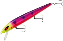 Smithwick Perfect 10 Rogue 5 1/2 Inch Deep Diving Suspending Jerkbait 33 Smithwick Perfect 10 Rogue 5 1/2 Inch Deep Diving Suspending Jerkbait -Danshui Fishing Shop ADR5291