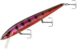 Smithwick Perfect 10 Rogue 5 1/2 Inch Deep Diving Suspending Jerkbait 28 Smithwick Perfect 10 Rogue 5 1/2 Inch Deep Diving Suspending Jerkbait -Danshui Fishing Shop ADR5294