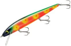 Smithwick Perfect 10 Rogue 5 1/2 Inch Deep Diving Suspending Jerkbait 38 Smithwick Perfect 10 Rogue 5 1/2 Inch Deep Diving Suspending Jerkbait -Danshui Fishing Shop ADR5296