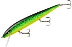 Smithwick Perfect 10 Rogue 5 1/2 Inch Deep Diving Suspending Jerkbait 29 Smithwick Perfect 10 Rogue 5 1/2 Inch Deep Diving Suspending Jerkbait -Danshui Fishing Shop ADR5300