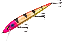 Smithwick Perfect 10 Rogue 5 1/2 Inch Deep Diving Suspending Jerkbait 34 Smithwick Perfect 10 Rogue 5 1/2 Inch Deep Diving Suspending Jerkbait -Danshui Fishing Shop ADR5334