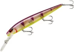 Smithwick Top 20 Rogue 5 1/2 Inch Extra Deep Diving Trolling Minnow/Jerkbait 19 Smithwick Top 20 Rogue 5 1/2 Inch Extra Deep Diving Trolling Minnow/Jerkbait -Danshui Fishing Shop ADRD5289