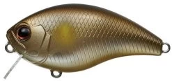 Evergreen International CH-1 Waking Crankbait 25 Evergreen International CH-1 Waking Crankbait -Danshui Fishing Shop Ayu a3f83c93 32e2 44fc 9ac7 d61fadd3fe89