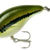 Bandit 100 Series Shallow Diving Crankbait 2 Bandit 100 Series Shallow Diving Crankbait -Danshui Fishing Shop BDT101