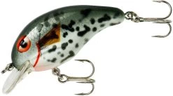 Bandit 100 Series Shallow Diving Crankbait -Danshui Fishing Shop BDT1D38