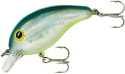 Bandit 100 Series Shallow Diving Crankbait -Danshui Fishing Shop BDT1D67