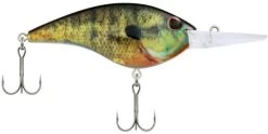 Berkley Frittside Medium Diving Flat Sided Crankbait 31 Berkley Frittside Medium Diving Flat Sided Crankbait -Danshui Fishing Shop Berkley Frittside HDBluegill 9 alt2