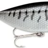 Storm Original Thinfin 08 Shallow-Medium Diving Crankbait -Danshui Fishing Shop Black Crappie 690831c7 b3ec 4aed 9776 a96103246a0f
