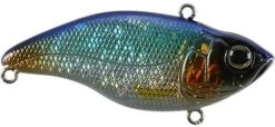 SPRO Aruku Shad 75 Lipless Crankbait -Danshui Fishing Shop Blue Shiner 8149b4b9 2064 4f5f a3af 52905dcb7cff