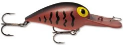 Storm Original Wiggle Wart 05 Crankbaits -Danshui Fishing Shop Brown Crawdad 9813fcf7 e2a3 46cb a139 45993524ec58