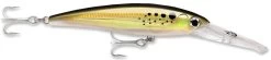 Rapala X-Rap Magnum 10 Big Game Slash Bait 25 Rapala X-Rap Magnum 10 Big Game Slash Bait -Danshui Fishing Shop Bunker 1bf61b5b e2d9 414d 8963 53454fd47462