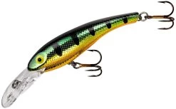 Cotton Cordell Wally Diver Crankbait 39 Cotton Cordell Wally Diver Crankbait -Danshui Fishing Shop CD695