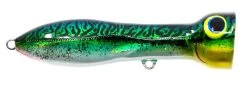 Nomad Design Chug Norris Freshwater/Inshore Popper 39 Nomad Design Chug Norris Freshwater/Inshore Popper -Danshui Fishing Shop CHUG95 SGM
