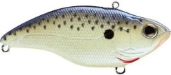 SPRO Aruku Shad 75 Lipless Crankbait -Danshui Fishing Shop Cell Mate d6e7b25a 592d 4ca6 8952 d9ed08729a55