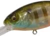 Megabass Deep-X 300 Deep Diving Crankbait 1 Megabass Deep-X 300 Deep Diving Crankbait -Danshui Fishing Shop DEEP X 20300 20 20BIWAKO 20CLEAR 20GILL jpg 2d031c3b f96a 4554 89fd 25415974efb4