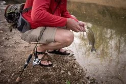 Temple Fork Outfitters Trout-Panfish Spinning Rods -Danshui Fishing Shop DSC04055 IG