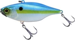Jackall TN 50/60/70 Lipless Crankbait 41 Jackall TN 50/60/70 Lipless Crankbait -Danshui Fishing Shop FishJackall TN SS SHAD primary