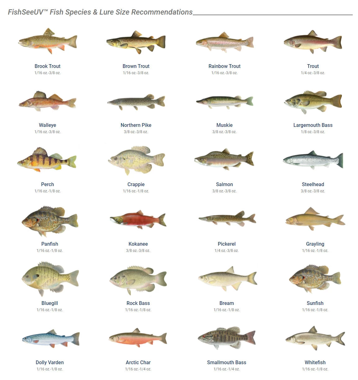 Panther Martin FishSeeUV Ultra Violet 3 Pack Spinner Kit 4 Panther Martin FishSeeUV Ultra Violet 3 Pack Spinner Kit - Image 2