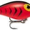 Storm Original Wiggle Wart 05 Crankbaits -Danshui Fishing Shop Fluorescent RedBlack HB c67b8611 8883 46de 8bd5 ff121bf20db5