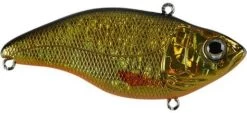 SPRO Aruku Shad Jr. Lipless Crankbait 24 SPRO Aruku Shad Jr. Lipless Crankbait -Danshui Fishing Shop Gold Black fc40c856 4318 445c a064 fee66d52012f