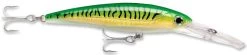 Rapala X-Rap Magnum 15 Big Game Slash Bait 28 Rapala X-Rap Magnum 15 Big Game Slash Bait -Danshui Fishing Shop Gold Green Mackeral f51ab312 f2af 4c30 a4fc 987f1a81debc