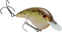Strike King Chick Magnet Flat Sided Crankbait 23 Strike King Chick Magnet Flat Sided Crankbait -Danshui Fishing Shop HCCM 563