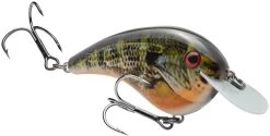 Strike King Chick Magnet Flat Sided Crankbait 21 Strike King Chick Magnet Flat Sided Crankbait -Danshui Fishing Shop HCCM 663