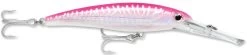 Rapala X-Rap Magnum 15 Big Game Slash Bait 29 Rapala X-Rap Magnum 15 Big Game Slash Bait -Danshui Fishing Shop Hot Pink UV dcd027df 4fc6 46e7 ad9b d30b1d6099a2