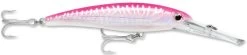 Rapala X-Rap Magnum 10 Big Game Slash Bait 30 Rapala X-Rap Magnum 10 Big Game Slash Bait -Danshui Fishing Shop Hot Pink UV fb7ee0d2 9fd2 4f00 b763 03730a99cae0