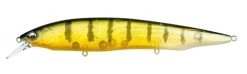 Megabass Kanata Jerkbait 33 Megabass Kanata Jerkbait -Danshui Fishing Shop Kanata GP Pro Perch