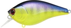 Lucky Craft LC 2.5 Shallow Squarebill Crankbait -Danshui Fishing Shop LC 2 5 136TOGL
