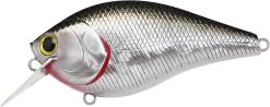 Lucky Craft LC 2.5 Shallow Squarebill Crankbait -Danshui Fishing Shop LC 2 5 419BPGSN