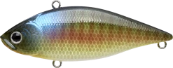 Lucky Craft LV-500 Max Lipless Crankbait 32 Lucky Craft LV-500 Max Lipless Crankbait -Danshui Fishing Shop LV500 269BEGL 30406234 cfc0 43e9 a88d d70772399aba