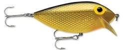 Storm Original Thinfin 08 Shallow-Medium Diving Crankbait 19 Storm Original Thinfin 08 Shallow-Medium Diving Crankbait -Danshui Fishing Shop Metallic Gold Black bd0eb354 2ec7 4e02 9380 d461175e25e6