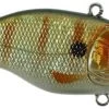 SPRO Aruku Shad Jr. Lipless Crankbait -Danshui Fishing Shop Perch 5107212c f555 45e9 b2d3 4528135e3026