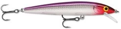 Rapala Husky Jerk 10 Jerkbait/Trolling Minnow -Danshui Fishing Shop Purple Clown 3d7fffd2 616a 4976 a551 e71f124882c4