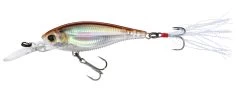 Yo-Zuri 3DB Shad Suspending 2 3/4 Inch Medium Diving Crankbait 31 Yo-Zuri 3DB Shad Suspending 2 3/4 Inch Medium Diving Crankbait -Danshui Fishing Shop R1104 RSM