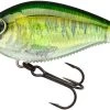 Yo-Zuri 3DB Crank 1.5 MR Medium Diving Crankbait 2 Yo-Zuri 3DB Crank 1.5 MR Medium Diving Crankbait -Danshui Fishing Shop R1353 RBB 0961fb28 eba6 4640 b04e 0779a4da6f3f