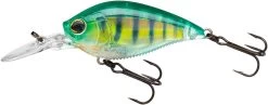 Yo-Zuri 3DB Crank 1.5 MR Medium Diving Crankbait -Danshui Fishing Shop R1353 RPC b45b787d aad7 47fc 9ecb 10bbb906a713