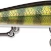 Rapala RipStop 12 Jerkbait 1 Rapala RipStop 12 Jerkbait -Danshui Fishing Shop RPS12 PEL