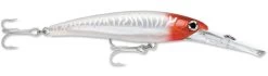 Rapala X-Rap Magnum 40 Big Game Slash Bait -Danshui Fishing Shop Red Head UV 5148fde5 f206 400c a586 c0aebc17870c