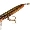 Rebel Hellgrammite 1 3/4 Inch Sinking Ultralight Crankbait 1 Rebel Hellgrammite 1 3/4 Inch Sinking Ultralight Crankbait -Danshui Fishing Shop S72275