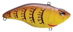 SPRO Aruku Shad Jr. Lipless Crankbait 34 SPRO Aruku Shad Jr. Lipless Crankbait -Danshui Fishing Shop SAS60SCW SpringCraw