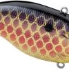SPRO Aruku Shad 75 Lipless Crankbait -Danshui Fishing Shop SAS75GDG GoldenDragon